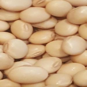  Recherche De Cereales - céréales nous cherchons des clients qui achètent des céréales comme maïs , soja bio,  mil etc.…  nous possédons une grandes quantité
