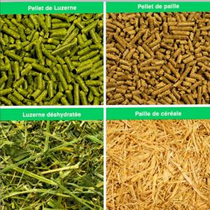  Luzerne Pellets Et Bottes Paille Blé En Bottes - aliments pour animaux entreprise productrice des aliments pour animaux bas&eacute;e en espagne,  recherche des importateurs en mauritanie et au maroc pour des livraisons en position cfr de luzerne en pellets et en bottes ainsi que du paille de bl&eacute; en bottes. les livraisons se font par conteneur de 40' hc. minimum &