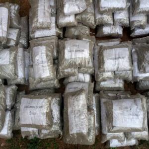  Concombre De Mer - autres je suis une vendeuse de concombre de mer. de bonne qualit&eacute; au canada. je cherche des clients pour vendre au maroc contacter moi en whatsapp