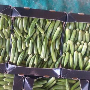  Je Cherche Un Fournisseur De Gombo - fruits et légumes bonjour je cherche un fournisseur de gombo 400kg des carton de 2, 5 ou 3kg--je suis pret &agrave; tous propositions appeler moi &agrave; ce num&eacute;ro ou message  merci 