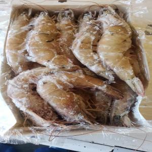  Fruits De Mer - poissons bonjour --nous vendons des fruits de mer ( crevettes,  gambas,   langoustes,  calamars,  œufs de mulets etc...) avec certificat et papiers d'exportation. --pas de samsar.--cordialement 