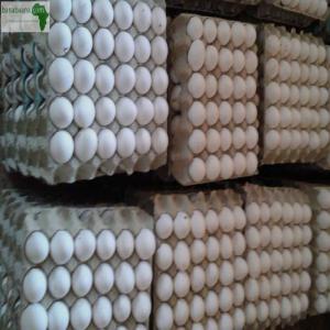  Vente D'oeufs Et De Poulets Surgelés - viandes et oeufs vente d'oeufs (palettes de 30 œufs) et de poulets surgelés (1, 5kg et 2 kg) en petite ou grande quantité. vous pouvez etre livré peu  importe votre localisation. prenez contact,   vous serez satisfait au plus vite.
