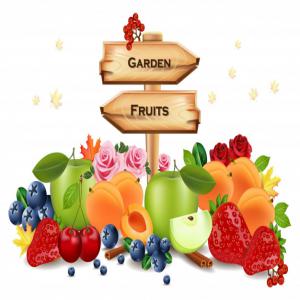  Production Et Distribution Des Fruits Frais,secs - fruits secs et graines grillées bonjour, ----je repr&eacute;sente une entreprise qui s'occupe de la production des fruits frais et secs ( cerises,  pommes,  prunes,  abricots).--nous sommes &agrave; la recherche soit d'un investisseur pour augmenter la capacit&eacute; de productions et d'approvisionnement le march&eacute; internationa