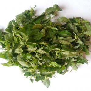  Vends Feuilles De Lalo Ou Ademe - fruits et légumes vends feuilles de lalo ou ademe----arrivage feuilles de lalo ou adémè----arrivage  feuilles de bissap blanc ou gnatou  ou ngai-ngai----arrivage  feuilles de bitéku-téku ou fontètè----arrivage  feuilles de n'dolé ou aloma----arrivage feuilles d'aubergi