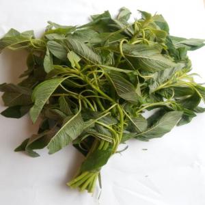  Vente De Feuilles De Bitéku-téku Ou Fontètè - fruits et légumes arrivage de  feuilles de bit&eacute;ku-t&eacute;ku ou font&egrave;t&egrave;----arrivage  feuilles de bissap blanc ou gnatou  ou ngai-ngai----arrivage  feuilles de n'dol&eacute; ou aloma----arrivage feuilles d'aubergines  bilolo ----arrivage feuilles de patate douce  matembele ----arrivage feuilles d