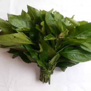  Vente De Feuilles De N'dolé Ou Aloma - fruits et légumes arrivage de  feuilles de bit&eacute;ku-t&eacute;ku ou font&egrave;t&egrave;----arrivage  feuilles de bissap blanc ou gnatou  ou ngai-ngai----arrivage  feuilles de n'dol&eacute; ou aloma----arrivage feuilles d'aubergines  bilolo ----arrivage feuilles de patate douce  matembele ----arrivage feuilles d