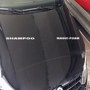  Magic-foam Novite' Pour L'auto - hygiene entretien description générale--détergent moussant super-brillant pour le lavage manuel des carrosseries- brillant comme un polish s'utilise manuellement comme un shampooing.--caractéristiques innovantes ---1) brillance  exceptionnelle pour la peinture de l'automobile  qui dure des