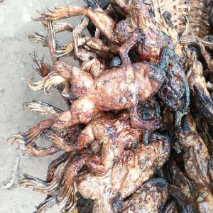  Disponibilité De Viande De Grenouille - viandes et oeufs bonjour , --je suis un entrepreneur agricole,  je suis à la recherche de client pouvant acheter la viande de grenouille auprès de moi.
