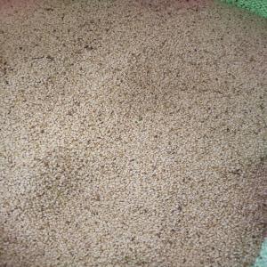  Sésame Bigarré Et S42 - céréales nous avons a notre disposition du sésame bigarré et s42 environ une quantité respective de 500 et 90  tonnes a bobo dioulasso/burkina faso