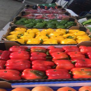  Vente Fruits Et Légumes - fruits et légumes bonjour,  pour tout les acheteurs intéressés aux produits marocains ou espagnoles .veuillez nous contacter pour vous informer de nos offres et nos produits existants.cordialement.