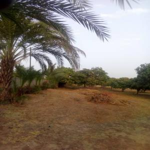  Vente D'un Verger - mine terrain concession nous proposons une offre très intéressante au sénégal,  la vente d'un verger situé à sinthiane dans la zone de saly à mbour.--le verger est un titre foncier d'une superficie de 8 hectares environ,  morcelé en quatre parties d'environ 2 hectares.-