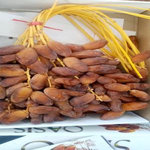  Dattes Algérienne Nouvelle Arrivage - fruits et légumes je vous propose des dattes algerienne de cette année qualité 1er choix tres tres bonne qualités.--boites 1kg --et 2k5--contacter moi pour plus de détails 