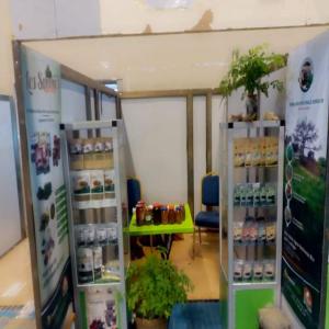  Huile De Moringa Pure Pressée Froid - huiles entreprise agricole du niger spécialisée dans la culture du moringa suivie de sa transformation..--disposons de grandes quantités huile de moringa.--offre promotionnelle janvier-fevrier --.