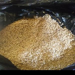  Graines De Sésame - fruits secs et graines grillées cherche acheteur pour une grande quantité de graines de sésame. --stocker au port en mauritanie,   produit de très bonne qualité. 