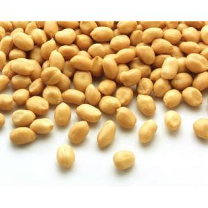  Peanut/ Cacahuète Hps - fruits secs et graines grillées saison 2020/2021--500m/t par mois,  --provenance de soudan--fob port sudan--certificats- phytosanitaire,  health export,  fumigation,  bill of lading,  commercial invoice,  cer. of origin  