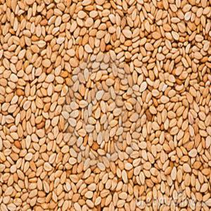  Whitish Seasame Seeds - cereals origin. sudan , -- season 2020/2021,  commercial type--fob port sudan--certificates- phytosanitary,  health export,  fumigation,  bill of laden,  commercial invoice,  cer of origin