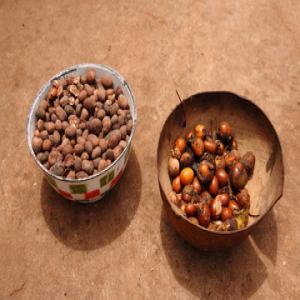  Vente De Beurre De Karité Bio - matières grasses nous sommes fournisseurs de beurre de karité bio du burkina faso,  toute quantité disponible à des prix abordables.conditionnée dans un sachet solide de 25kg et le tout dans un carton. toutefois au besoin,  vous pouvez faire le choix de votre emballage. nous produisons 2, 5 