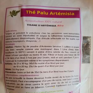  Vente De The D'artemisia - autres bonjour nous produisons de l' artemisia et nous les vendons sous forme de the. l'artemisia est une plante donc les bienfaits sont connus de tous aujourd'hui. alors nous cherchons des acheteurs pour notre thé. nous  sommes disposé a vous livrez ou a honoré toutes vos commandes.