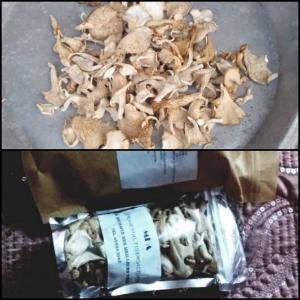  Champignons Pleurotes En Vente. Secs Ou Frais - champignon levure quantité- nous pouvons vous fournie 20kg de secs par trimestre dans des emballages de 80g ou 160g. ou dans des cartons de 5 à 10kg--1kg de sec --80g à 2000 fcfa --160 g à 4000 fcfa--1kg à 20000 fcfa