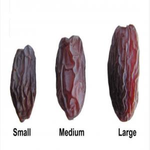  Dates Medjoul - fruits secs et graines grillées bonjour, ----nous vous fournissons directement depuis les exploitations de palestine. plusieurs cat&eacute;gories disponibles. calibrage,  conditionnement,  fumigation,  packaging,  labelling ; tout est fait selon votre souhait.--&agrave; bient&ocirc;t