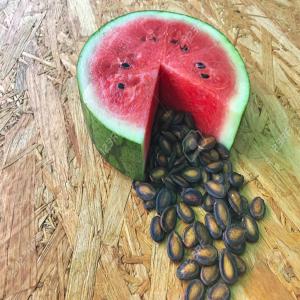  Recherche De Pépin (graine) De Pastèque Sec - semence graine plant nous recherchons des graines de past&egrave;que sec &agrave; acheter &agrave; hauteur de 4 tonnes envions livr&eacute; sur parakou au b&eacute;nin.--si vous avez la possibilit&eacute; de nous en fournir,  pri&egrave;re nous laisser un message et nous contacter directement par mail.--notez que nous ne