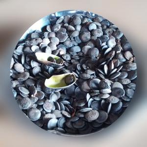  Vente La Graine De Griffonia - semence graine plant salut à tous..je vous propose une grande quantité de la fameuse graine avec ces effets positifs inestimable appelé la graine griffonia. pour toutes vos besoins de cette graine veuillez me contacter pour une quelconque commande et pour plus d'informations.