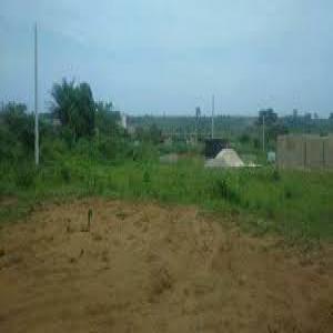  Terrain Agricole Vendre - Investissement capitaux des terrains pour l'agriculture ou l'&eacute;levage ou meme pour la construction de domicile ou de cit&eacute; disponible &agrave; prix d&eacute;fiant toute concurrence &agrave; abidjan et p&eacute;riph&eacute;ries.--contacter nous pour en savoir d'avantages.
