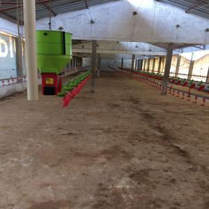  Ferme Vendre Bambilor Dakar Senegal - mine terrain concession ferme de 32ha titre foncier a vendre avec des unités de production d'aliments de bétail et volaille de lait caillé de jus de fruit  de fruit et légumes de poulaillers (80.000 sujets) de bassins de pisciculture d'arbres fruitiers de forages entièrement équip&