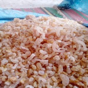  Commerce Des Produits Agricole - autres nous somme une societe a responsabilite limitee implantee au tchad,  cree en 2016,  qui est specialisee dans le commerce des produits agricole telque- la gomme arabique,  le sesame,  l'arachide et l'aspiruline. nous exercons avec des differentes societes africaines,  asiatiques et europeennes.