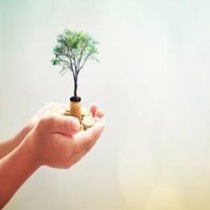  Projets Solutions Algérie - Investissement capitaux 1/ solutions à vos projets développés en algérie,  possibilité de financement sans intérets et sans  échéancier,  avec de nouvelles méthodes et techniques,   conseils,  études technico-économiques,  business plan,  montage de dos