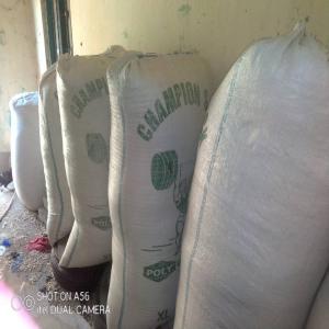  Maïs Disponible Lomé Totsi - céréales maïs disponible en gros disponible &agrave; lom&eacute; 30 mille le sacs .magasin  bm  lom&eacute;  totsi .fait vos commandes