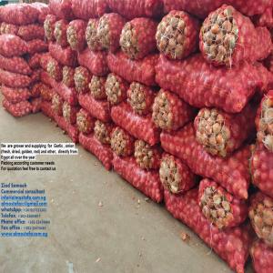  Sell Onion Garlic Oignon Ail - fruits and vegetables we  are grower and supplying  for  garlic ,  onion (fresh,  dried,  golden,  red) and other,   directly from egypt all over the year.   --packing according customer needs