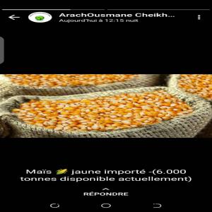  Offre Maïs Jaune Au Senegal - céréales a vendre 6000 tonnes de maïs jaune disponibles au sénégal ! affaire très sérieuse. farceurs s'abstenir. si vraiment vous n'etes pas dispos à acheter,  ne pas déranger. merci !