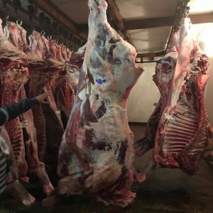  Chicken - viandes et oeufs grossiste pour les chickens et poss&eacute;dant l attestation sif brazil brf propose ses produits avec un prix tr&egrave;s int&eacute;ressant pour des clients grossistes-----whole chicken de 1000/1400gr prix cif to china 1600$.--chicken drum stick le prix 1700$ mt cif.--chicken whole legs le prix es