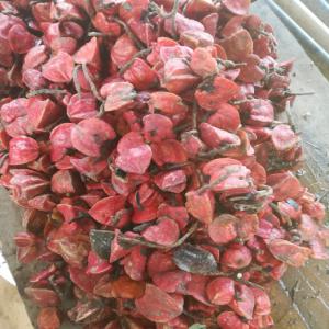  Recherche D'acheteurs De Thaumatococcus Daniellii - autres nous disposons de l'arille extrait du fruit thaumatococcus daniellii,  nécessaire à la production de la thaumatine--nous avons une capacité de 200 kg par semaine,  qui pourrait évoluer dans les mois à venir.