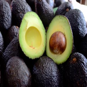  Vente Des Avocats Au Maroc - fruits et légumes on a plusieurs lots d avocats au maroc type hass sur l arbre. calibre 12-24. qualité premium. prix intéressant pour la grande distribution. services de transport logistique depuis la ferme jusqu'au destination selon besoin. achat direct à la ferme. on parle directement que avec 