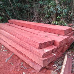  Nous Disposons Une Fortes Quantité De Bois - bois charbon fibre vente de bois en grumes ou scié ou contreplaqué, --sipo--- atui--- sapelit--- bosse--- bilinga--- bubinga--- anegre--- mbete--- bibolo--- makore--- fromage--- padouk--- mouabi--- ngollon--- tali--- wengue--- nyove--- movingiu--- iroko--- bidou--- ebene--- nylon--- ayous--- olong--- tiam
