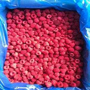  Framboise Surgelées - fruits et légumes les framboise  - elles affichent une teneur en vitamine c,  en vitamine b9 et en fibres plus élevée lorsqu'elles sont surgelées que lorsqu'elles sont fraîches. --on peut vous offrir tout ce que vous voulez - très bonne qualité,  très bon service,  tr&egra