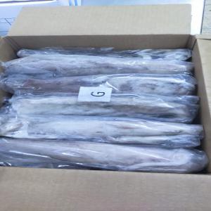  Recherche Acheteur Calamar - poissons loligo vulgaris--size - gg,  g,  m,  p,  2p,  3p--packing - neofish--net weight per carton - 12 kg (gg, g, m, p)--net weight per carton - 15 kg (2p, 3p)--fao zone - 34