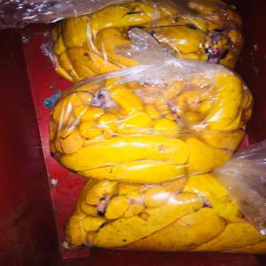  Cherche Oeufs De Mulet Et Poutargue - poissons bonjour, --societ&eacute; mauritanienne cherche des clients interess&eacute;s par des oeufs de mulet de tout calibre et de premier choix. grosses quantit&egrave;s disponibles.--nous faisons aussi de la poutargue sech&eacute;e sous vide ou avec cire.