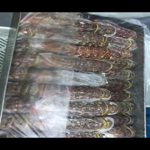  Queues De Langoustes Et De Cigale Congelees - poissons societé de peche basee en.mauritanie.nous cherchons des clients interessés  par les langoustes entieres  et les queues de langoustes  congelees.--nous avons une grosse capacité de production et la periode de collecte bat son plein.