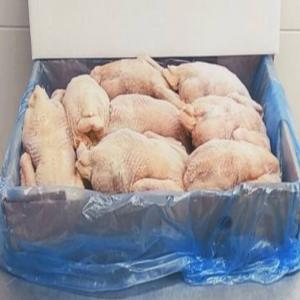  Volaille, Poulets Congelées Pour L'exportation - viandes et oeufs notre entreprise propose des carcasses de poulet congelées pour l'exportation vers les pays d'afrique.--poids carcasse (1 -1, 3 kg). une boîte contient 10 kg. le prix (cif) sur demande.--conditions de paiement- sblc,  lc ou 30% sur commande et 70% contre copie bl--un certificat halal est 