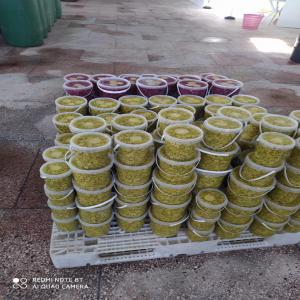  Olive Vert - fruits et légumes elles permettent notamment de r&eacute;guler votre taux de mauvais cholest&eacute;rol car riches en omega 3. plus pr&eacute;cis&eacute;ment,  les acides gras contenus dans les olives favorisent la production de bon cholest&eacute;rol dans le sang et donc de lutter contre l'hypertension et les maladie