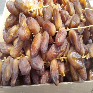 Dattes Deglet Nour Disponible Pour Export - fruits secs et graines grillées producteur,  conditionneur spécialisé de toutes sortes de dattes algerienne . la force de l'entreprise repose sur ses solides partenariats avec les principaux producteurs de dattes en algérie. --toutes les dattes produites et conditionnées par nos soins répondent &a