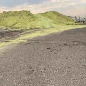  Vente Soufre - chimie additif engrais soufre--  origine- irak--  quantit&eacute;- 30mt / mois (maximum)--  140 $ mt / fob (port bassra) incluant 5 $ de commission (partag&eacute;e &agrave; parts &eacute;gales entre les interm&eacute;diaires acheteurs et vendeurs)--  disponibilit&eacute;- oui--  paiement- 100% lc--  possibilit&eacute; de