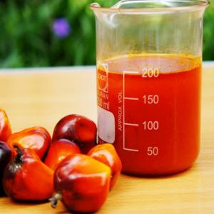  Oil Palm Jerry Can, Rice, Soybeans, Cashew Nuts, - other we can supply cashew nuts,  rice,  oil palm jerry can,  fish's,  beans--all agro industriales--woods,  sugar,  --we have different quality of oils --we can supply marble high quality --from portugal --orange origin spain --