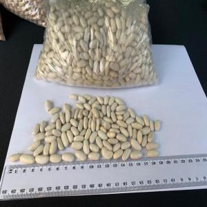  Recherche De Fournisseur De Haricots Blanc Et Mou - fruits et légumes bonjour,  nous recherchons pour le compte de nos client,  un fournisseur de haricot blanc et moucheté d'origine kényane,  ougandaise,  sud africaine. ce dernier sera capable de fournir en grande quantité les deux catégories de haricot.