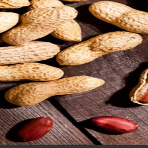  Arrachide, Grain Secs, Pâte, Frais Bio /ci - fruits secs et graines grillées bonjour,  nous sommes une entreprise spécialisée dans la production,  la transformation,  vente et exportation de  produits agricoles issus des champs de petits paysans constitués en coopérative,   regroupant  leurs productions pour la vente sur les marchés internation