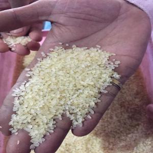  Riz Indien - céréales nous disposons une grande quantité de riz indien parboiled rice 100% sortex. 5%,  25%; ou 100% broken rice pret pour l'export. nous livrons partout sur le continent africain. nous disposons également du lait en poudre 28% de matière grasse, des sardines du maroc ,  couches bé