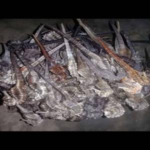  Vente De Guedje Beurre Et Hippocampe Sèche - poissons bonjour, je suis vendeur de poisson salé et séché à dakar.je dispose de 60 kg de guedj beure de bonne qualité à dakar et de 5 kg d'hippocampe sèche. --